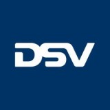 DSV HSBC 1100